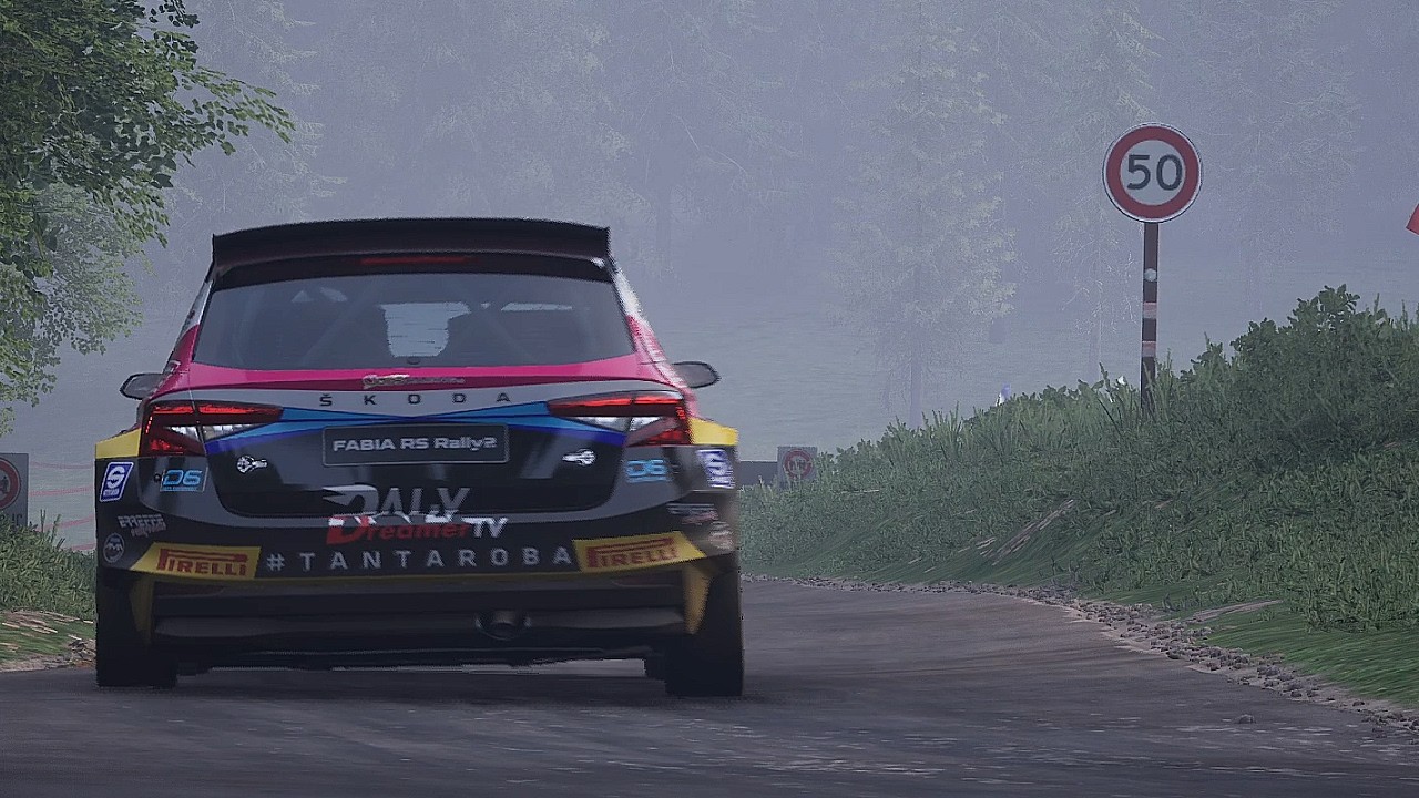 POV: it's your first clean ish stage in AC Rally (PS4 controller)