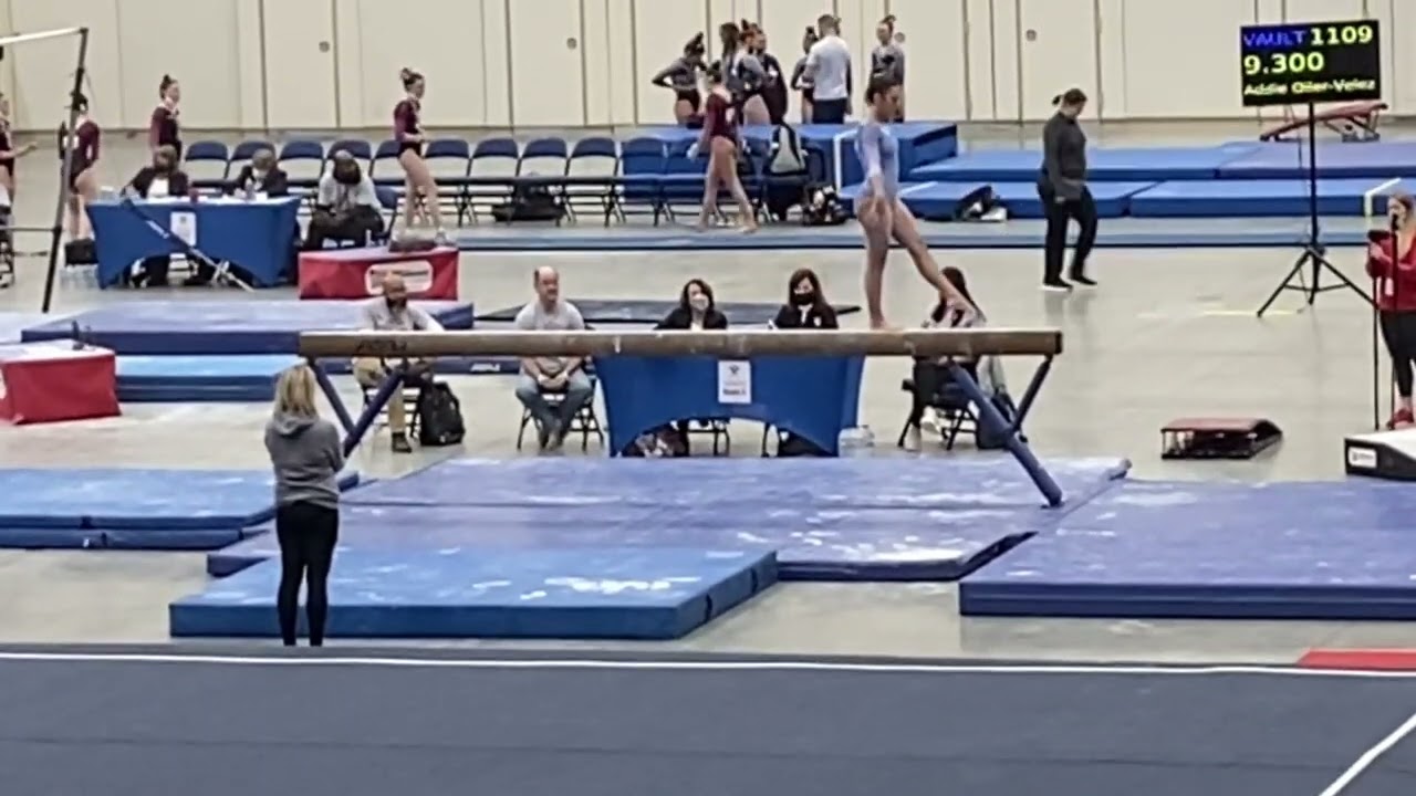 Ady Wahl 2024- Circle of the Stars-LV10-1st All Around 38.325