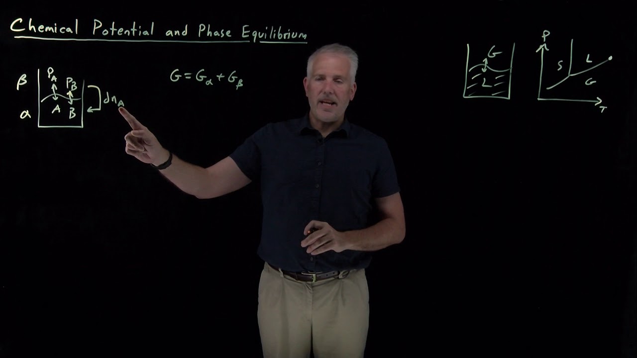 Chemical Potential and Phase Equilibrium