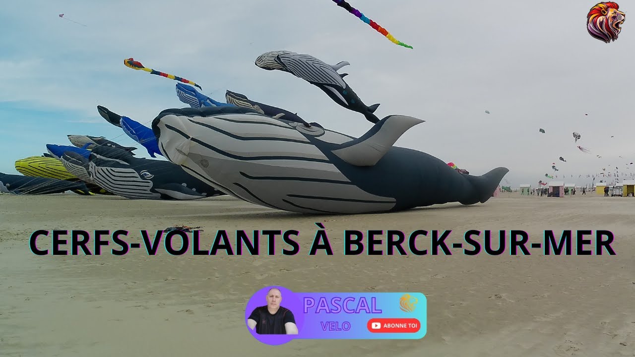 Rassemblement de cerfs-volants à BERCK-sur-Mer