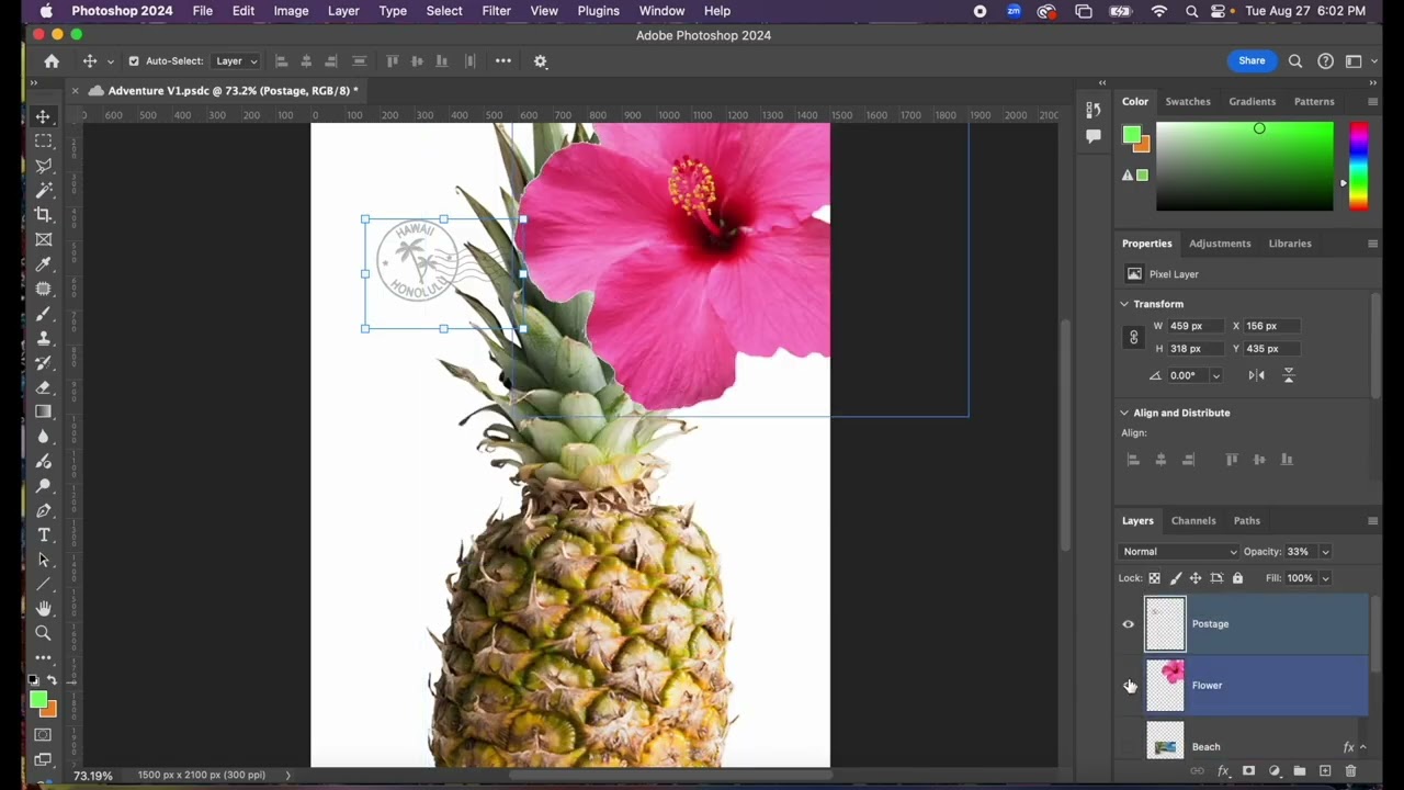 NVC Demo Layers