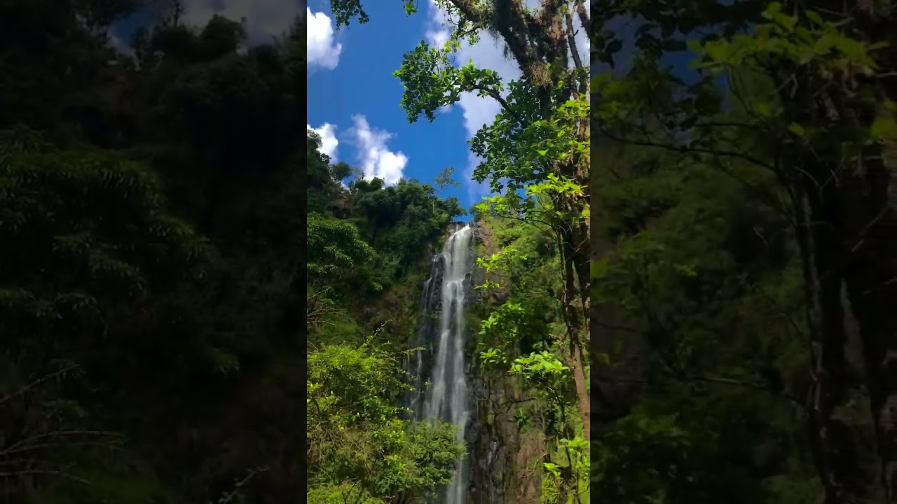 We Found Tanzania's Best Kept Secret: Materuni Waterfall