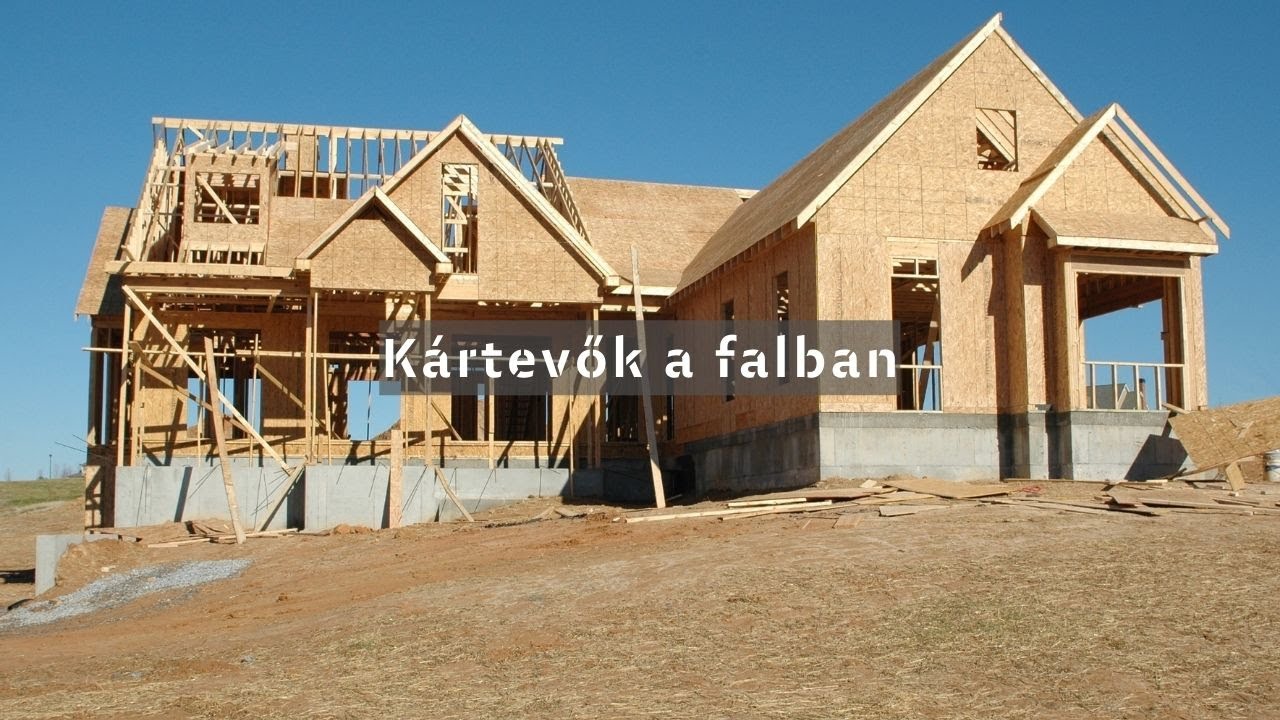 Kártevők a falban. Megoldás bontás nélkül - soskartevostop.hu