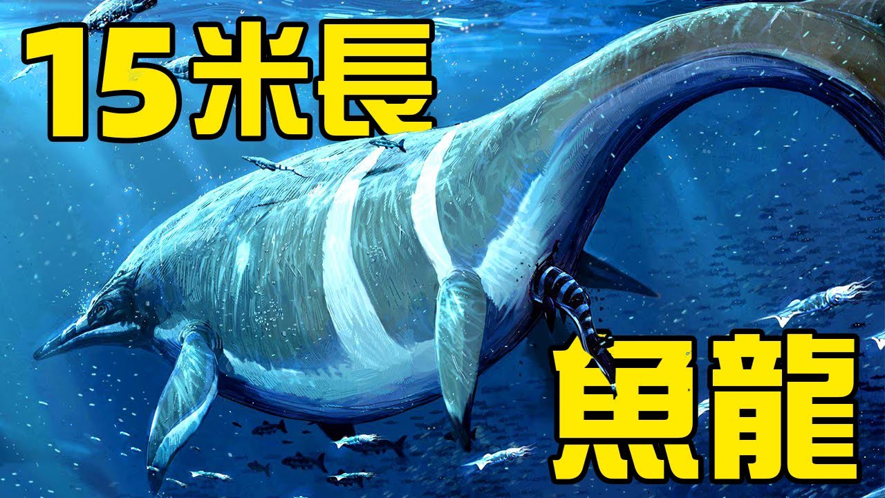15米長的秀尼魚龍只會嘬魷魚？4億年前的生物就演化出了性選擇？甲龍的親戚繪龍擁有恐龍中最美妙的歌喉丨朝化析拾13丨黑毛羊駝