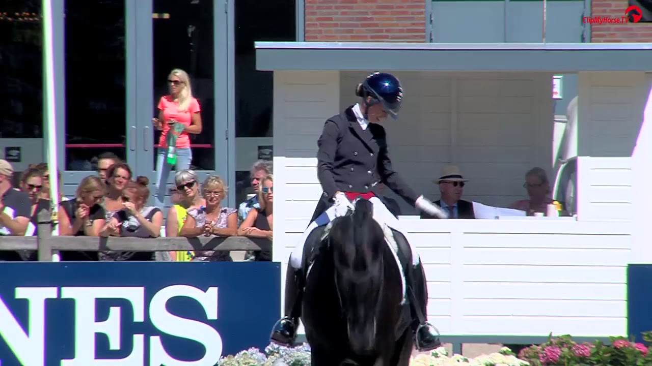 Van Olst Horses