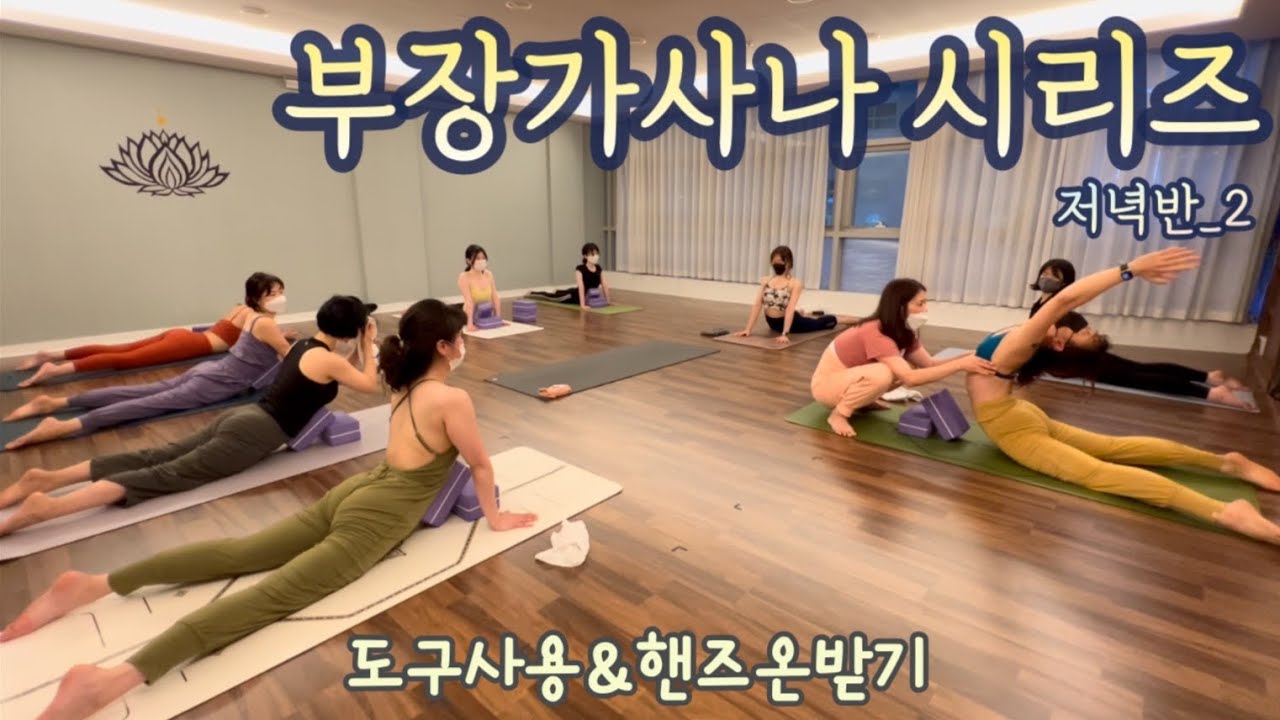 [엔젤요가] 부장가시리즈 | 저녁반2 | 도구사용으로 편안하게 |  핸즈온 받아 부장가시리즈 경험하기 | 소화력증진 | 소화불량해소 | 어깨경직 해소 | 노화방지
