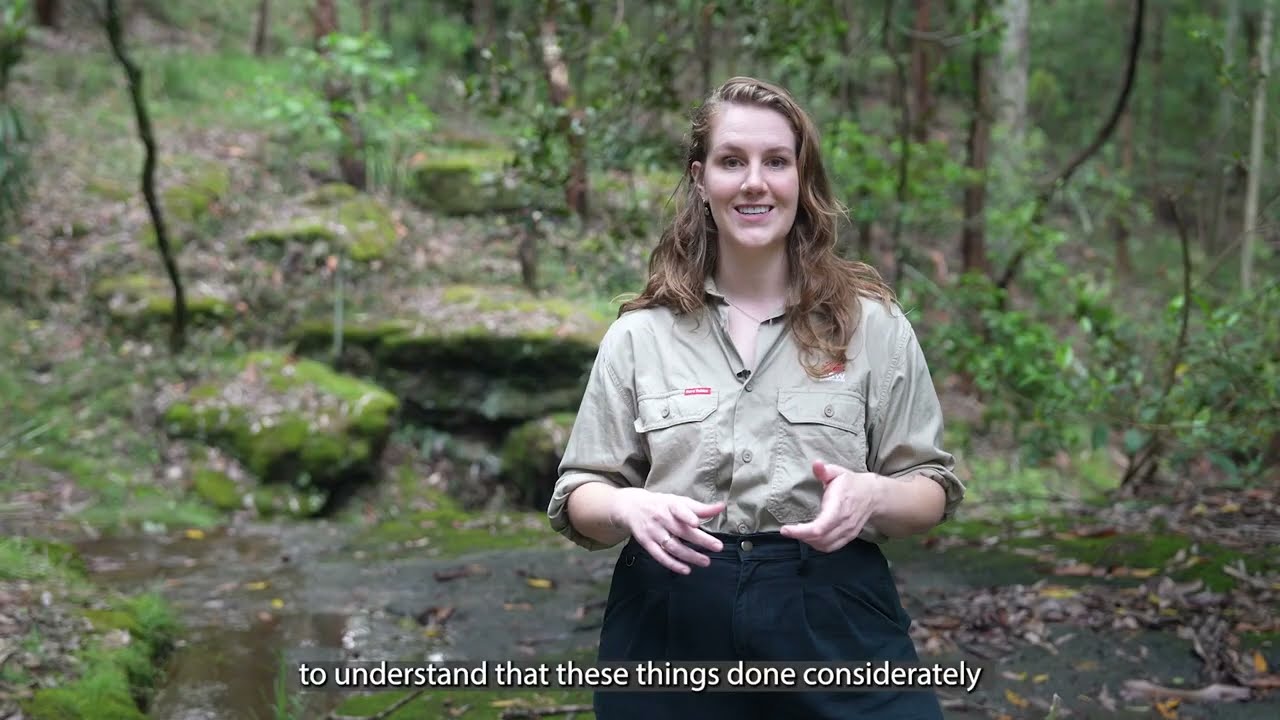 Assisted Migration of Ancient NSW Rainforests