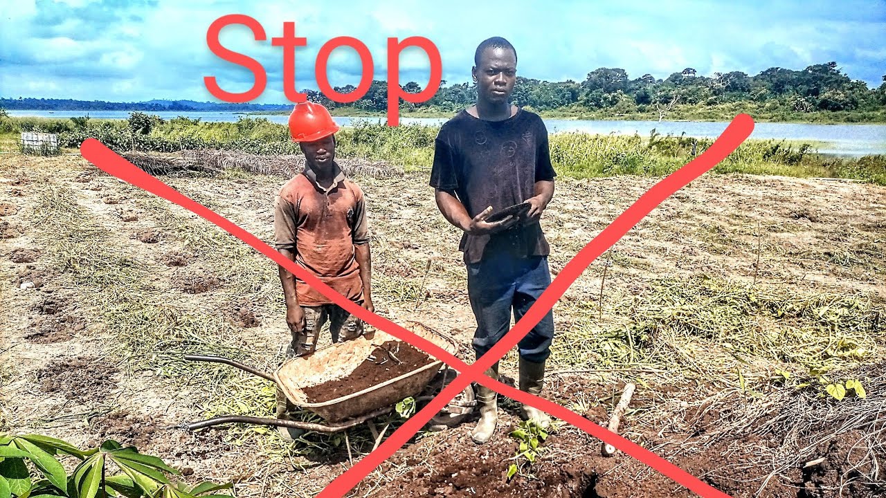 Arrêtez d'investir dans l'agriculture en Afrique 😭😭