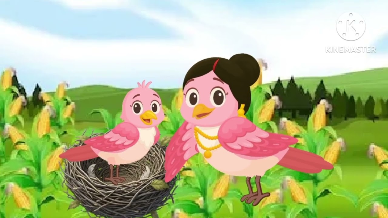 किसान का खेत और चिड़िया का घर 