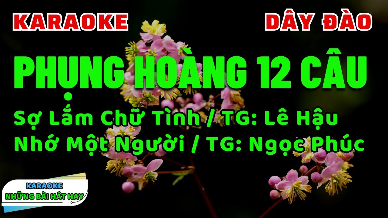 Karaoke Liên Khúc Phụng Hoàng I Sợ Lắm Chữ Tình I Nhớ Một Người I Dây đào