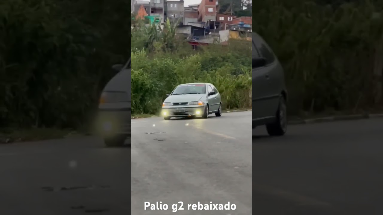 Palio g2 2006 rebaixado
