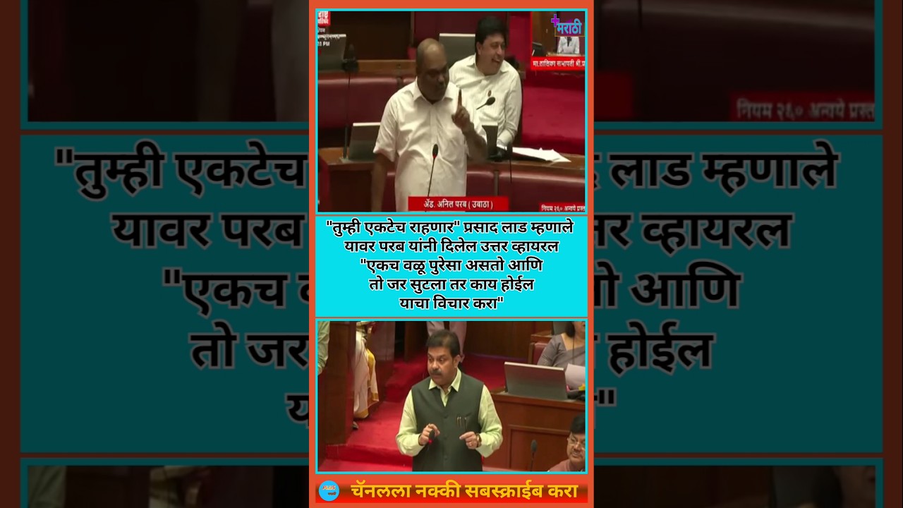 Anil Parab | वळू सुटला तर काय होईल याचा विचार करा | #shivsenaubt #vidhansabha #uddhavthackeray
