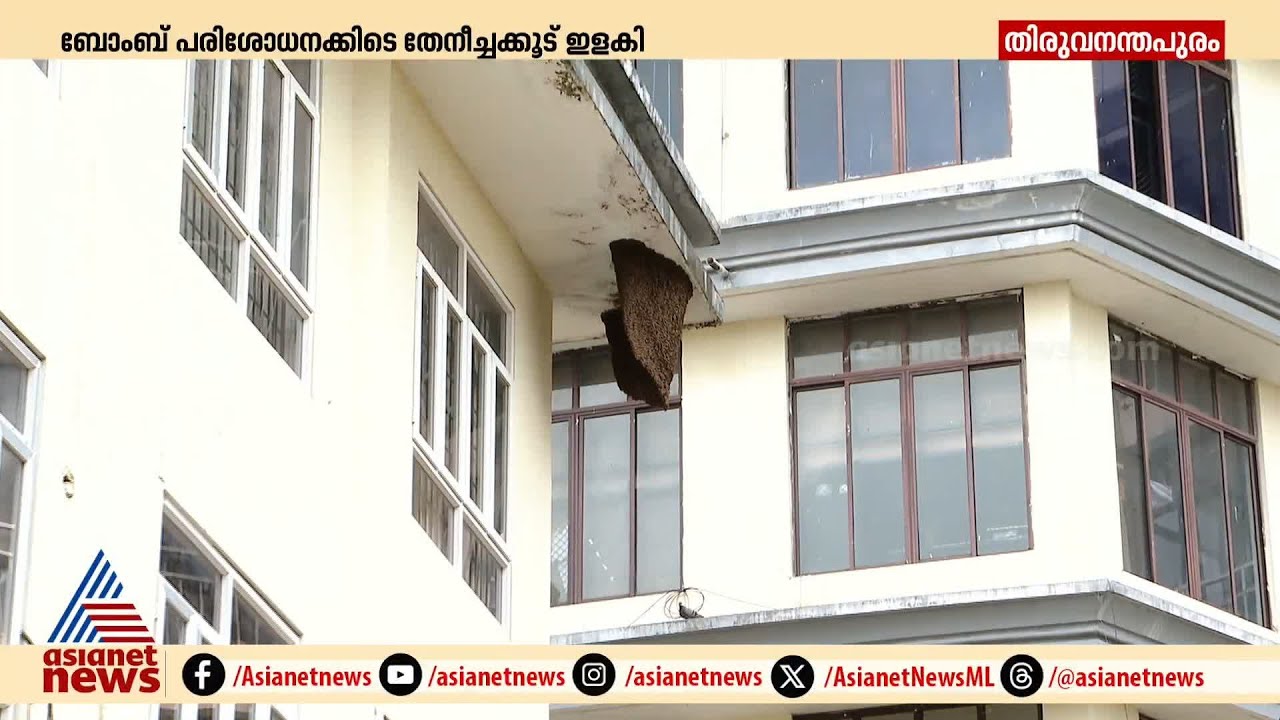 തിരുവനന്തപുരം കളക്ട്രേറ്റിൽ തേനീച്ചക്കൂട് ഇളകി; നിരവധി പേർക്ക് കുത്തേറ്റു|Bee-attack at Collectorate