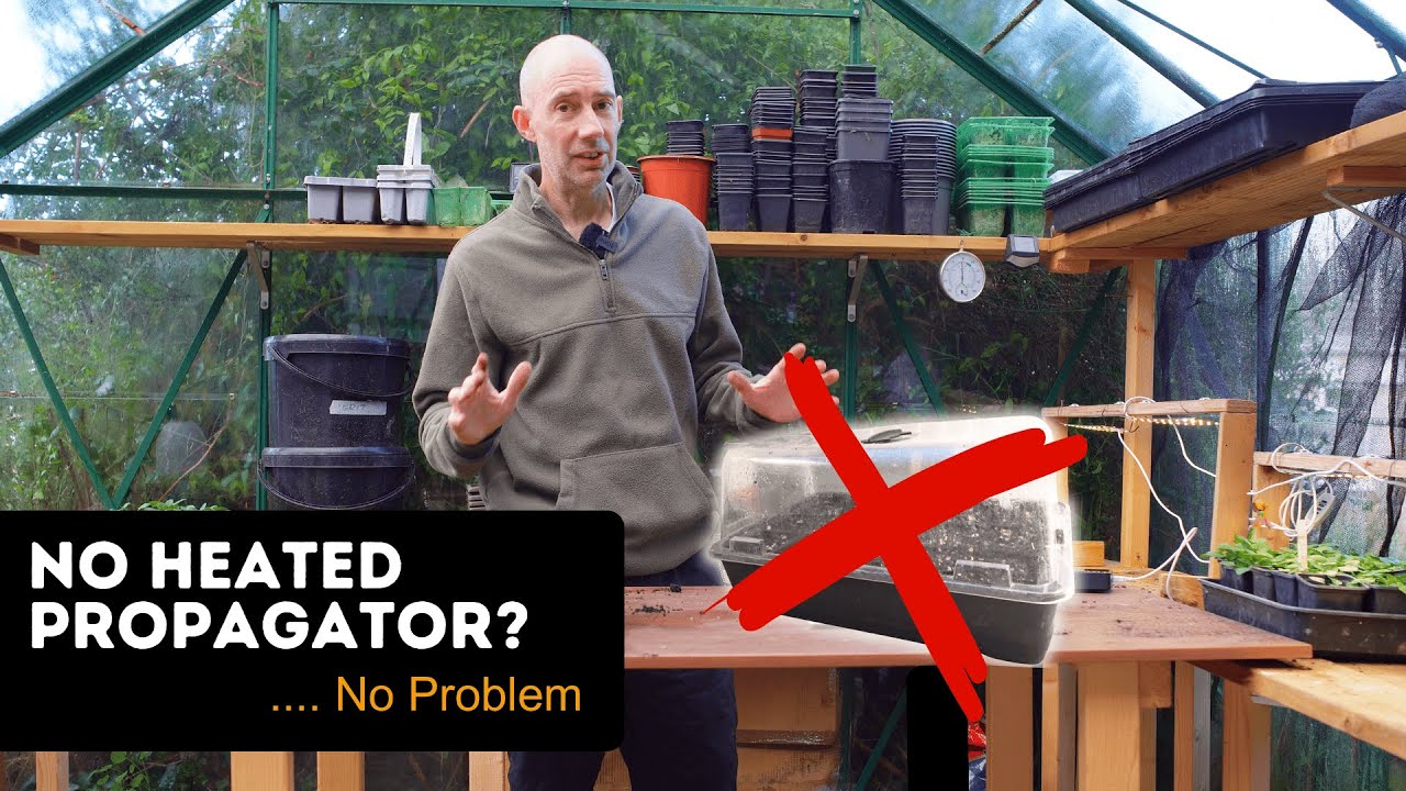 No Propagator? No Problem! (Start Your Seeds Anyway)