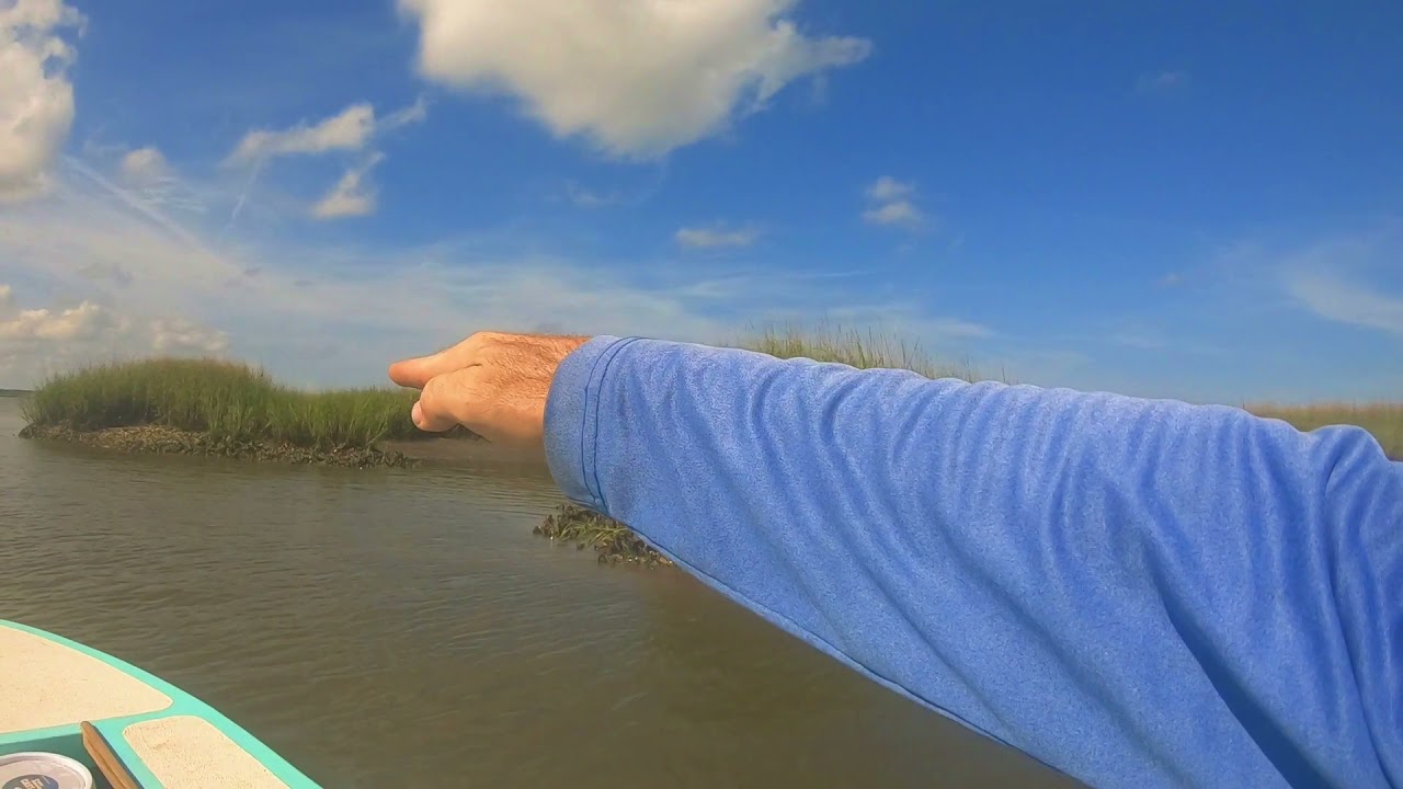 Guide to Georgia’s Salt Marsh ep. # 1 Tides