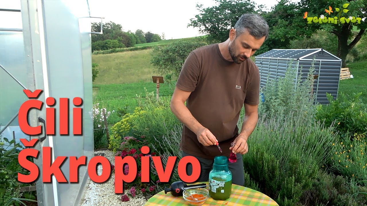 Čili odvrača uši, gosenice, polže, ...