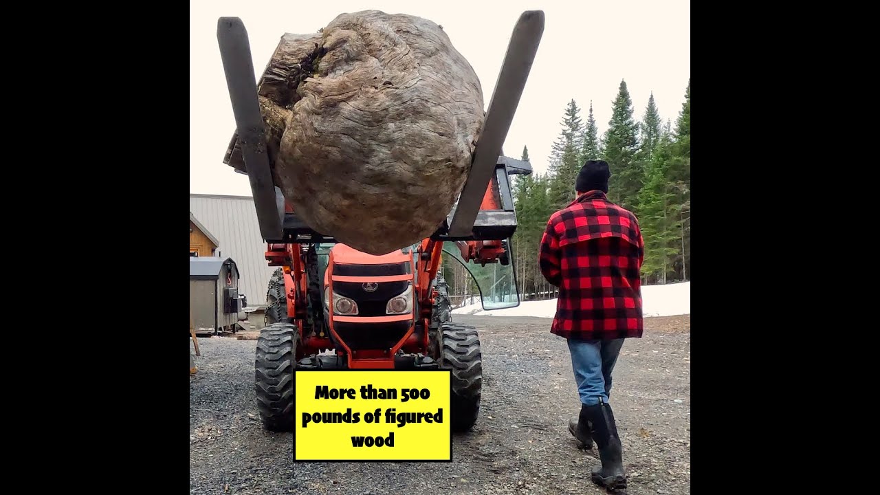 Milling a Giant Eastern Cedar Burl.
