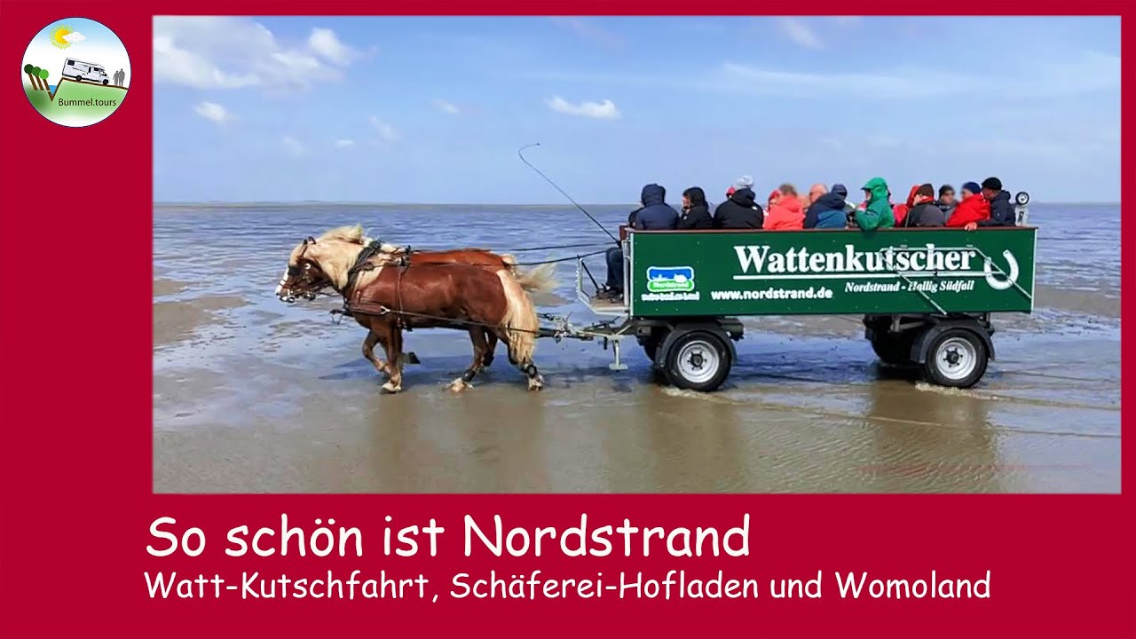 So schön ist Nordstrand - Wattkutschfahrt, Schäferei-Hofladen und Womoland