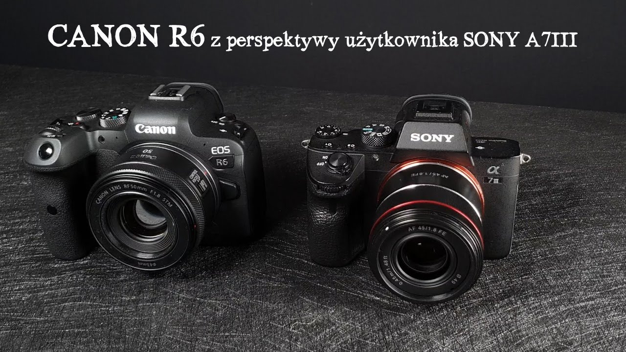 Canon R6 z perspektywy użytkownika Sony A7III. Zmiana systemu czy lepiej poczekać na A7IV?