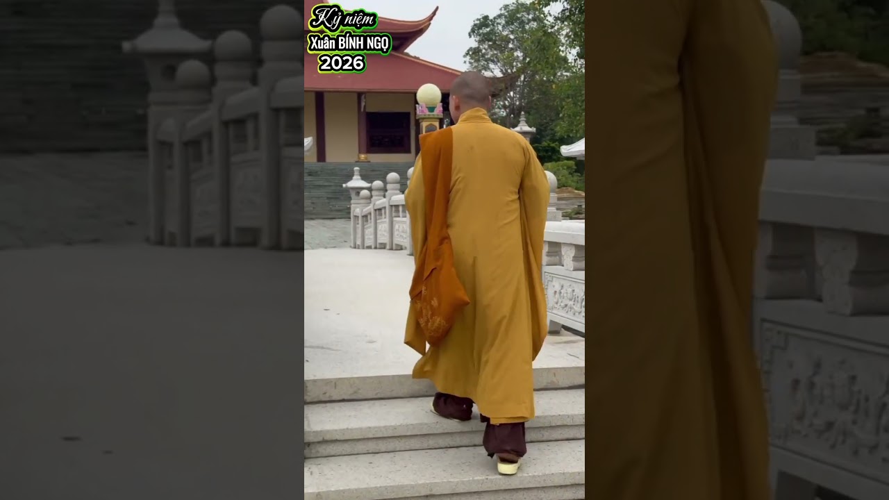 Kỷ niệm mùng 10 xuân Bính Ngọ - thầy về chúc Tết Quý Thầy tại Thiền Viện Trúc Lâm Chánh Thiện #phat 