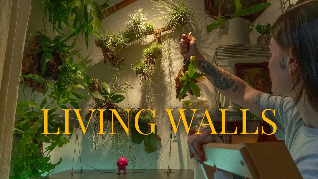 Природа на стенах | Наш уютный уголок с растениями