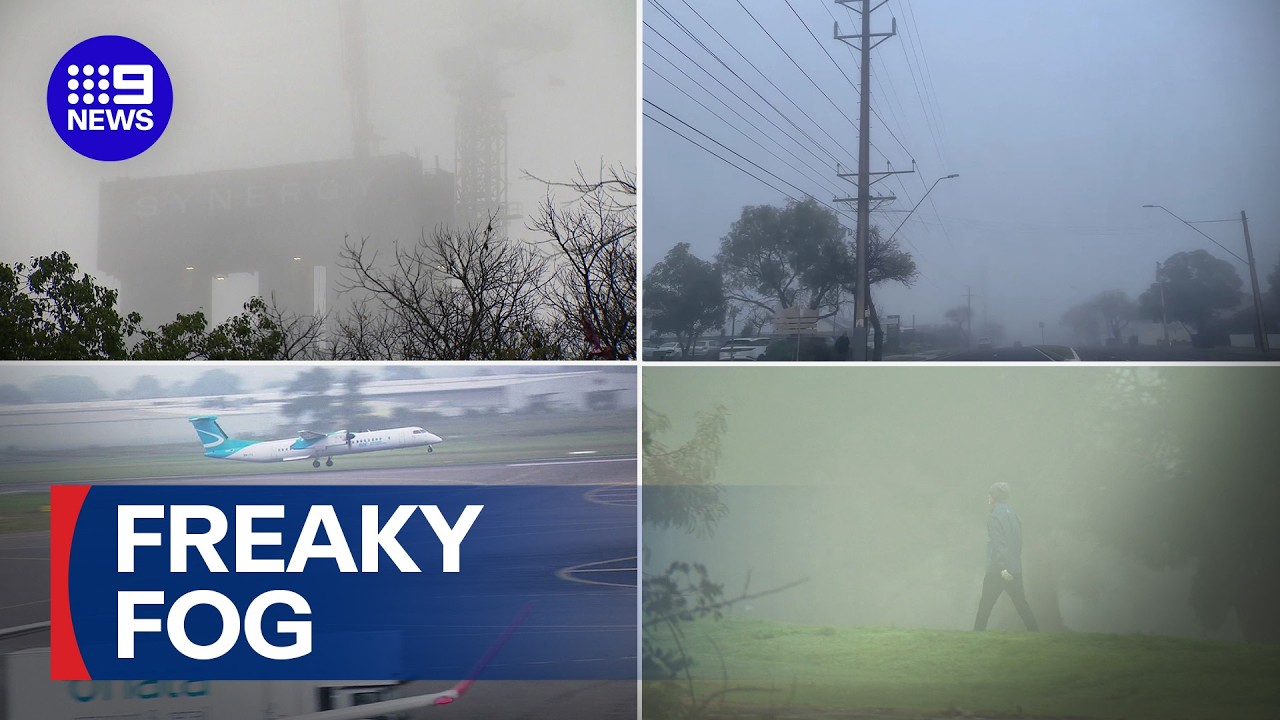 Thick fog engulfs city and diverts flights | 9 News Australia