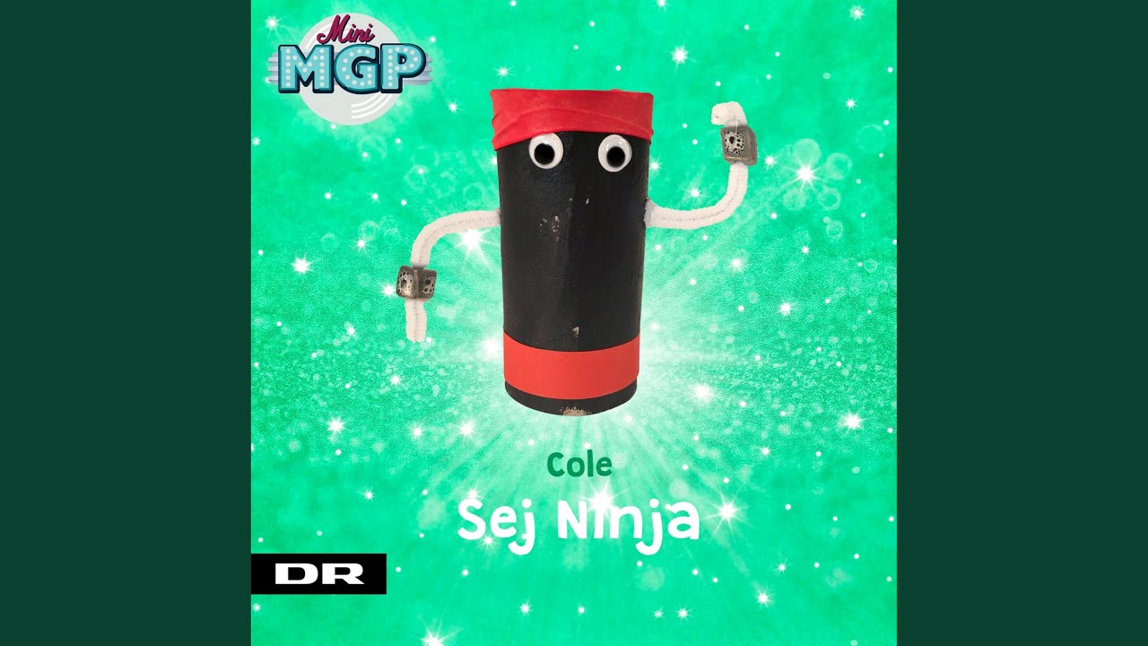 Sej Ninja