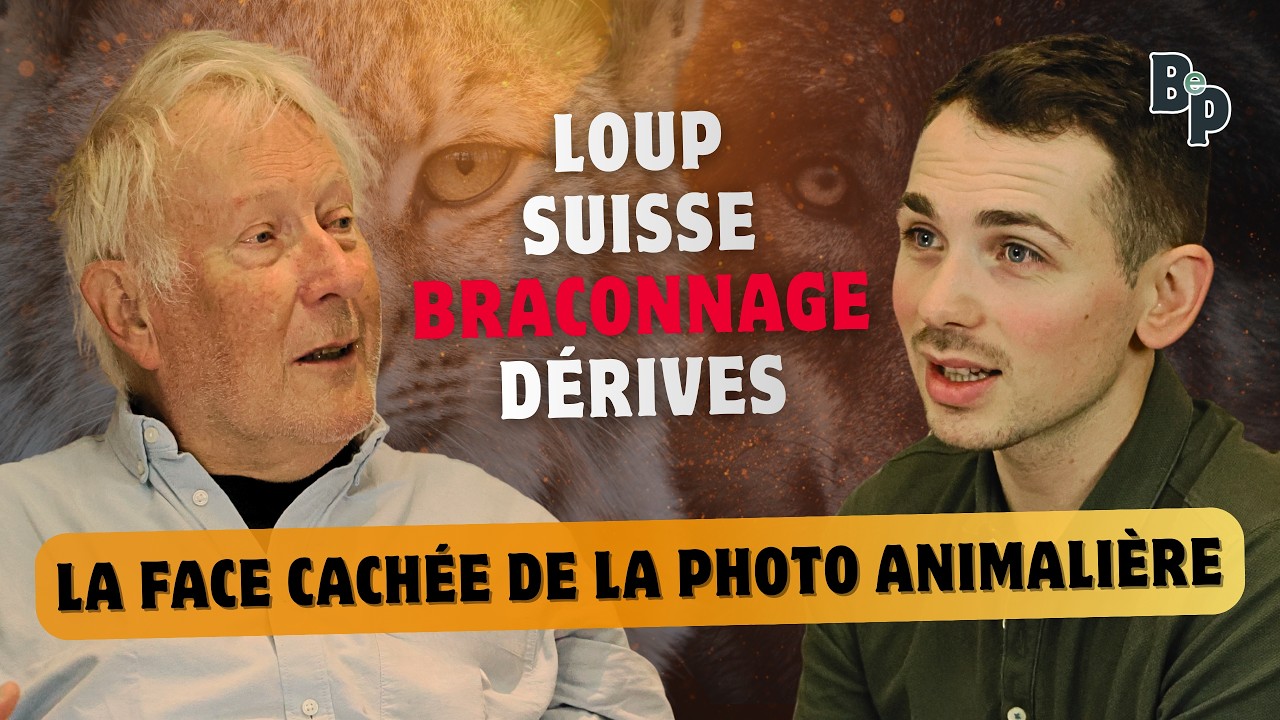 La face cachée de la photographie animalière ft. Alain Prêtre - Balade entre Passionnés #1