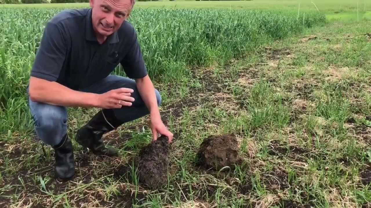 Biog&oslash;dnings indvirken p&aring; jordstruktur