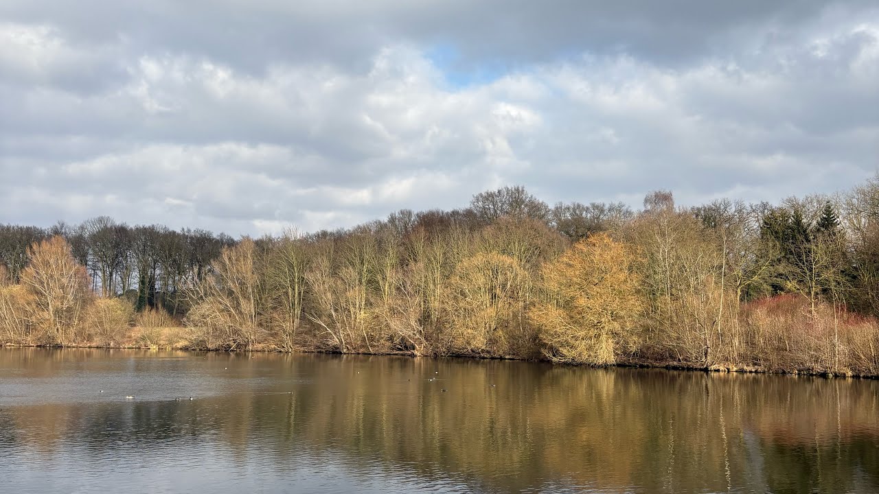 Nature and Meditation (Lippesee)