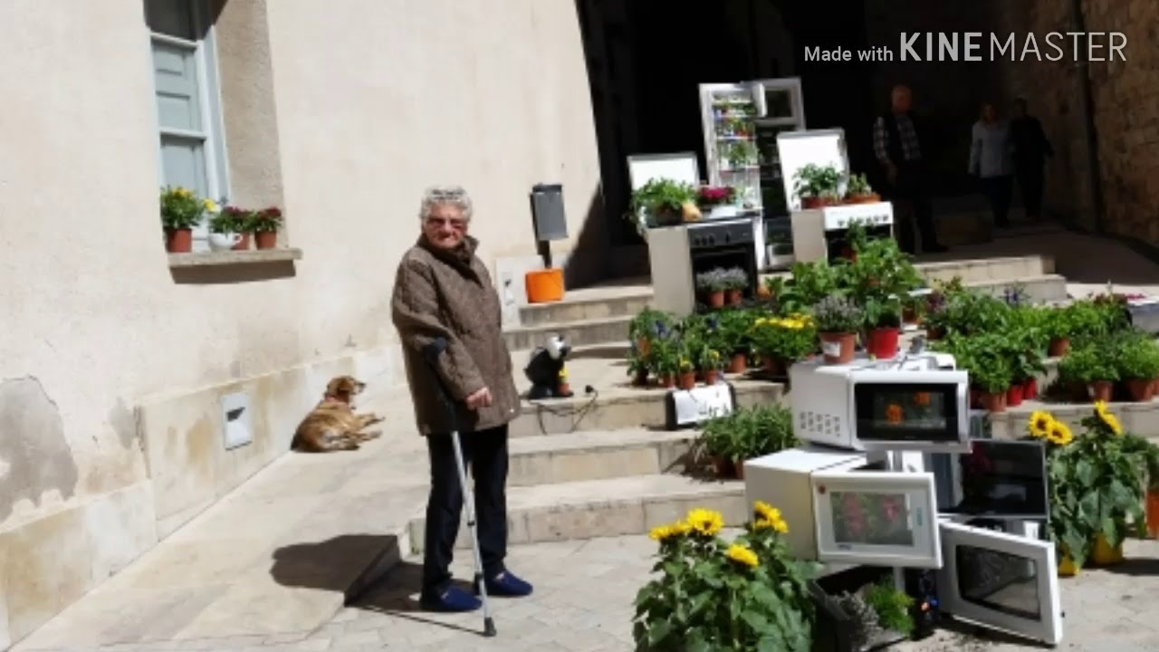 Santpedor en flor 2019