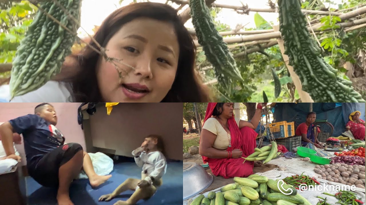 Jogu ra babu mamu ko lagi ladai 😖😖🐒🙅‍♂️ mamu lai jogu le matra maya garnu re aarise 😱😱🐒🐒