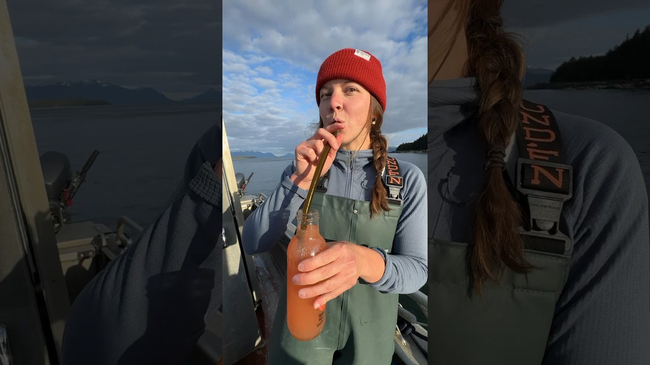 BULL KELP STRAW!! #kelp #alaska #shorts