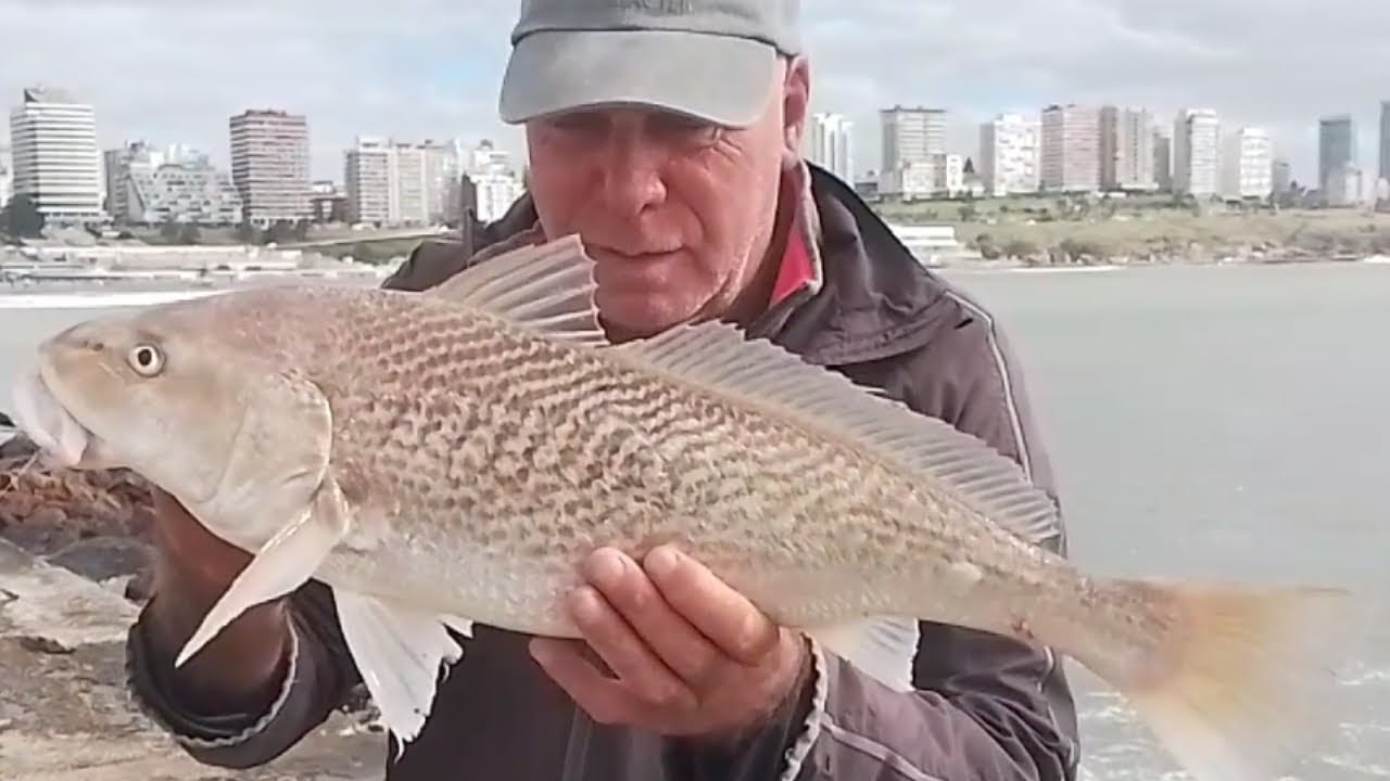 MIÉRCOLES 25 DE FEBRERO 2026.