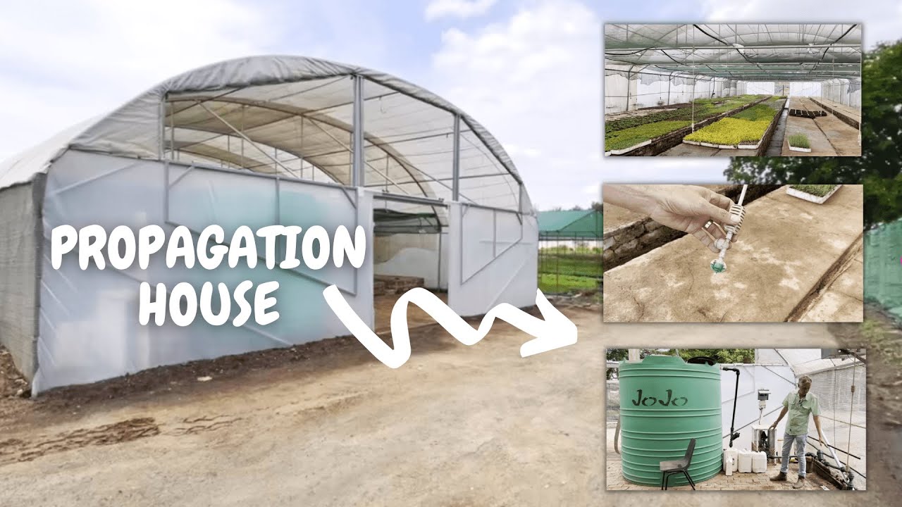 Growing Plants From Cuttings to Boost Income || How to Plan a Propagation House