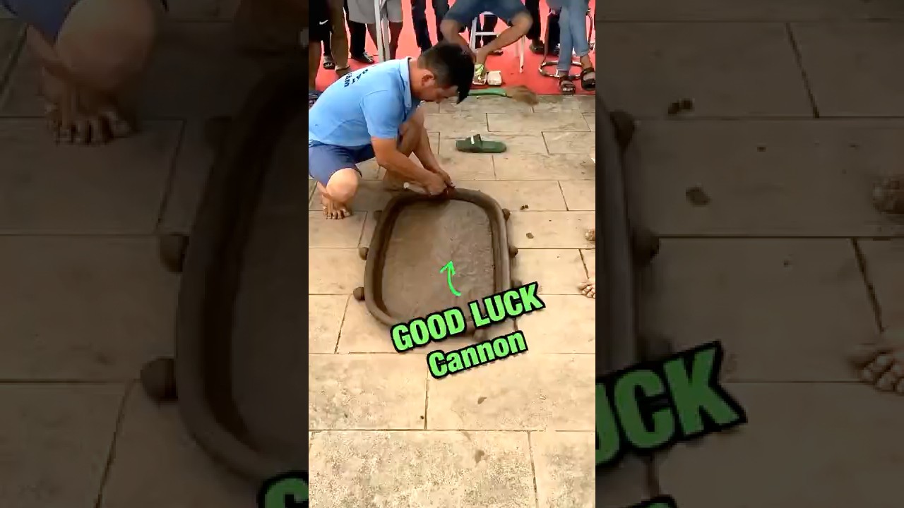 Most Popular Mud Game in Vietnam! 🤯