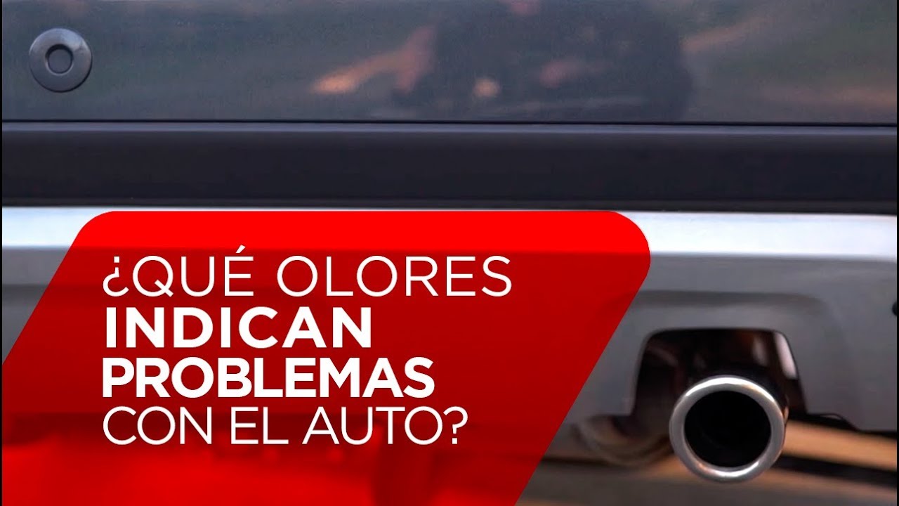 &iquest;Qu&eacute; olores indican problemas en el auto?