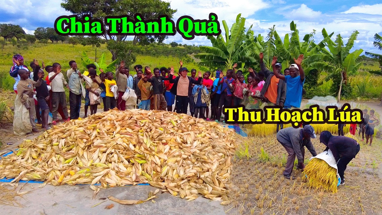 Quang Dũng || Được Ăn Uống Đầy Đủ Khi Đi Làm Trong Nông Trại Chúng Em Ai Cũng Có Da Có Thịt Rồi