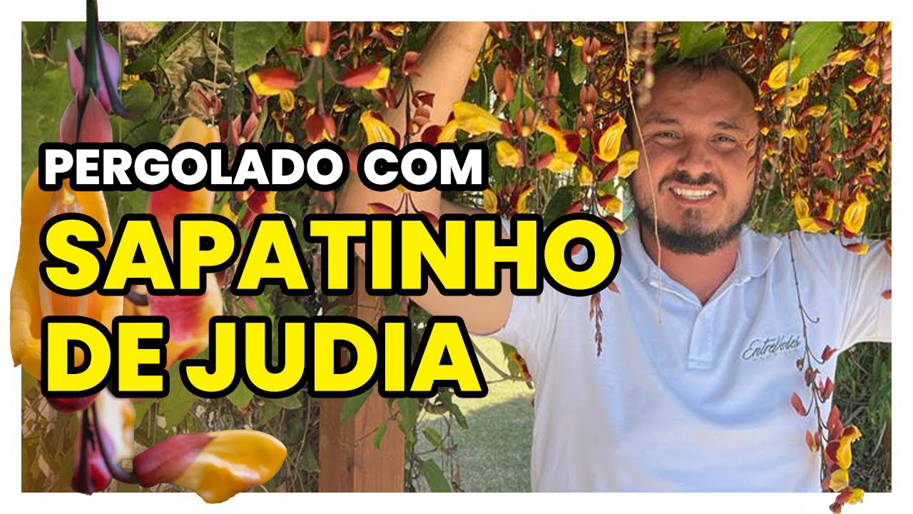 Pergolado com SAPATINHO DE JUDIA