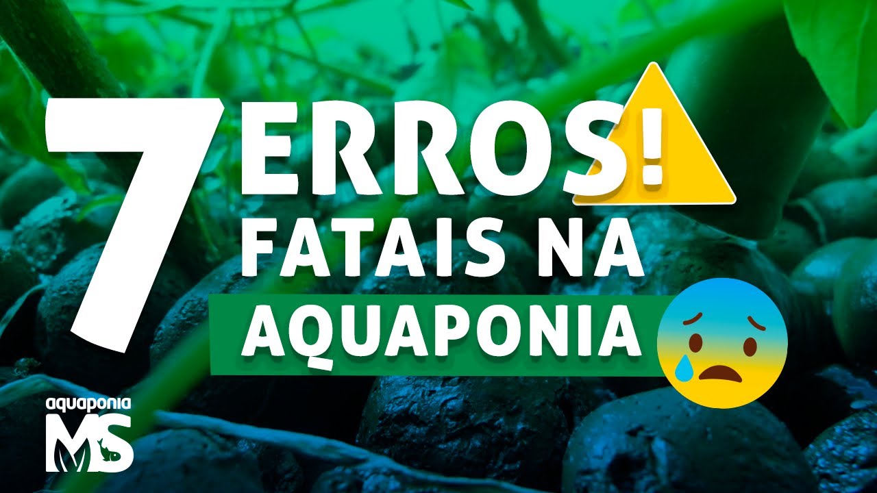 7 erros que você nunca deve fazer em sua aquaponia