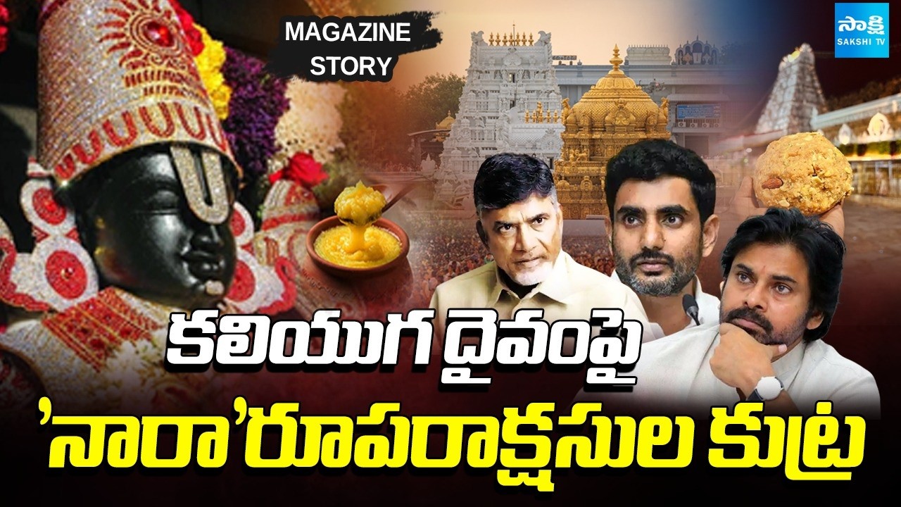 Chandrababu and Nara Lokesh Lies on Tirumala Laddu | Sakshi TV Magazine Story