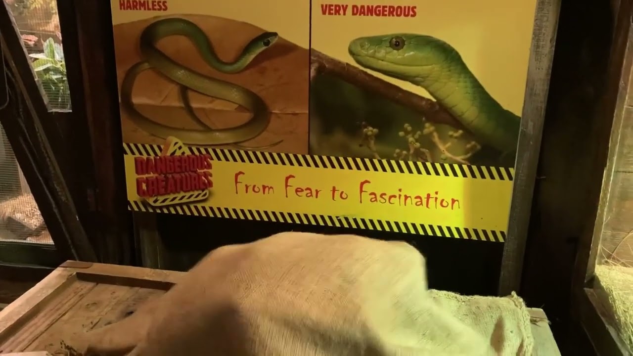 Dangerous creatures (uShaka marine world)