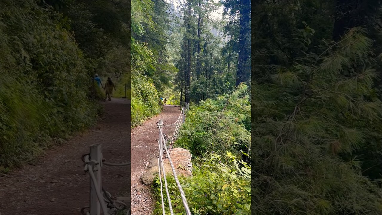 Pipeline Track Dunga Gali To Ayubia 🌳❤️
