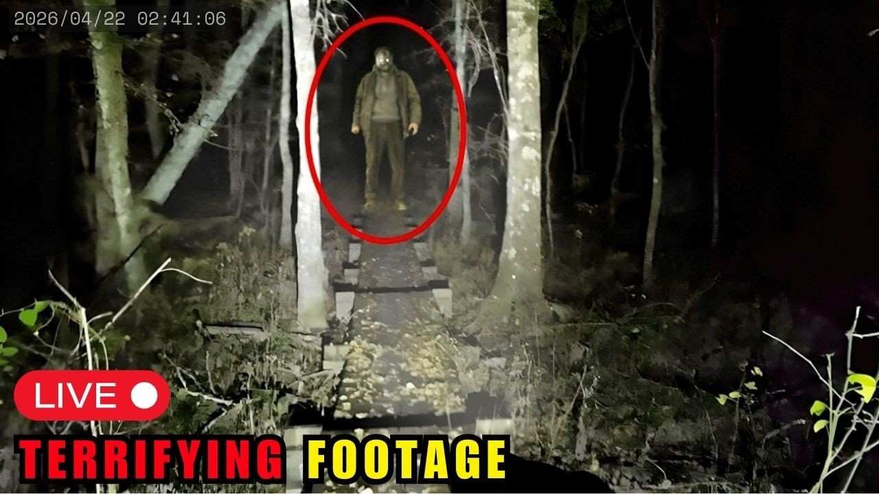 2 Hours of Most Disturbing Camping Encounters Caught On Camera