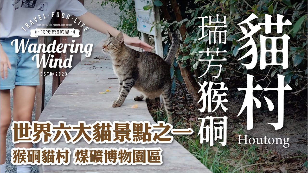 世界六大貓景點之一｜猴硐貓村｜愛貓人士的天堂 #猴硐貓村 #貓景點 #貓咪 #貓控 #可愛的貓 #猴硐車站 #煤礦博物園區 #瑞芳 #新北旅遊 #微風哥 #吹吹流浪的風