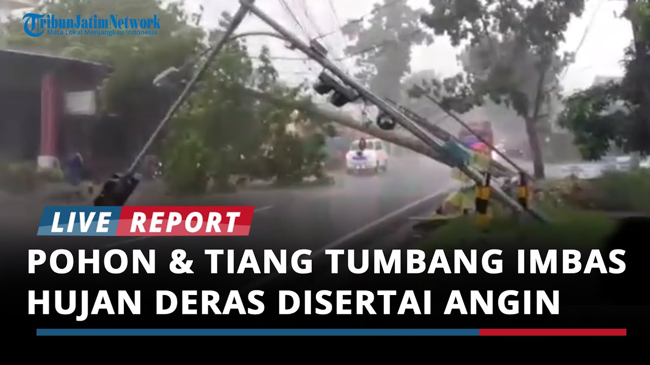 Hujan Deras Disertai Angin Kencang Sebabkan Pohon dan Tiang Tumbang di Bondowoso