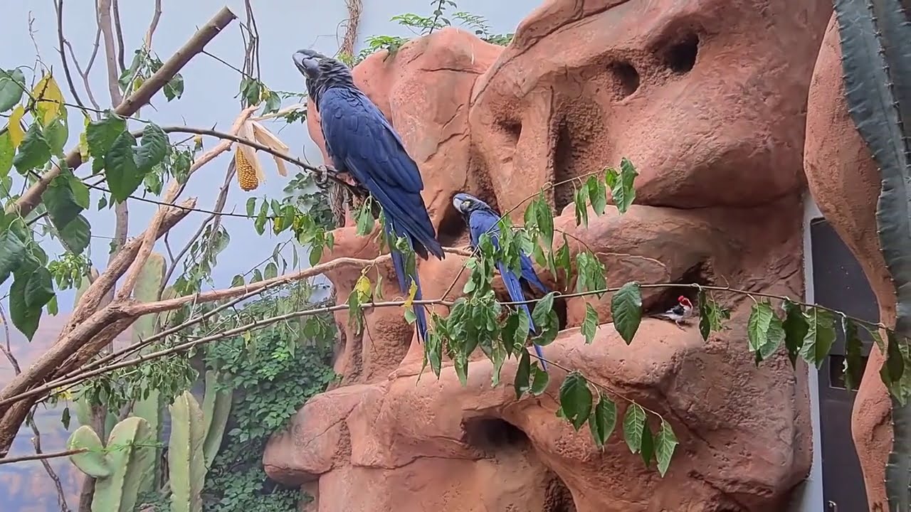 „Projděte se“ po Zoo Praha: Rákosův pavilon (Václava Podhráská)