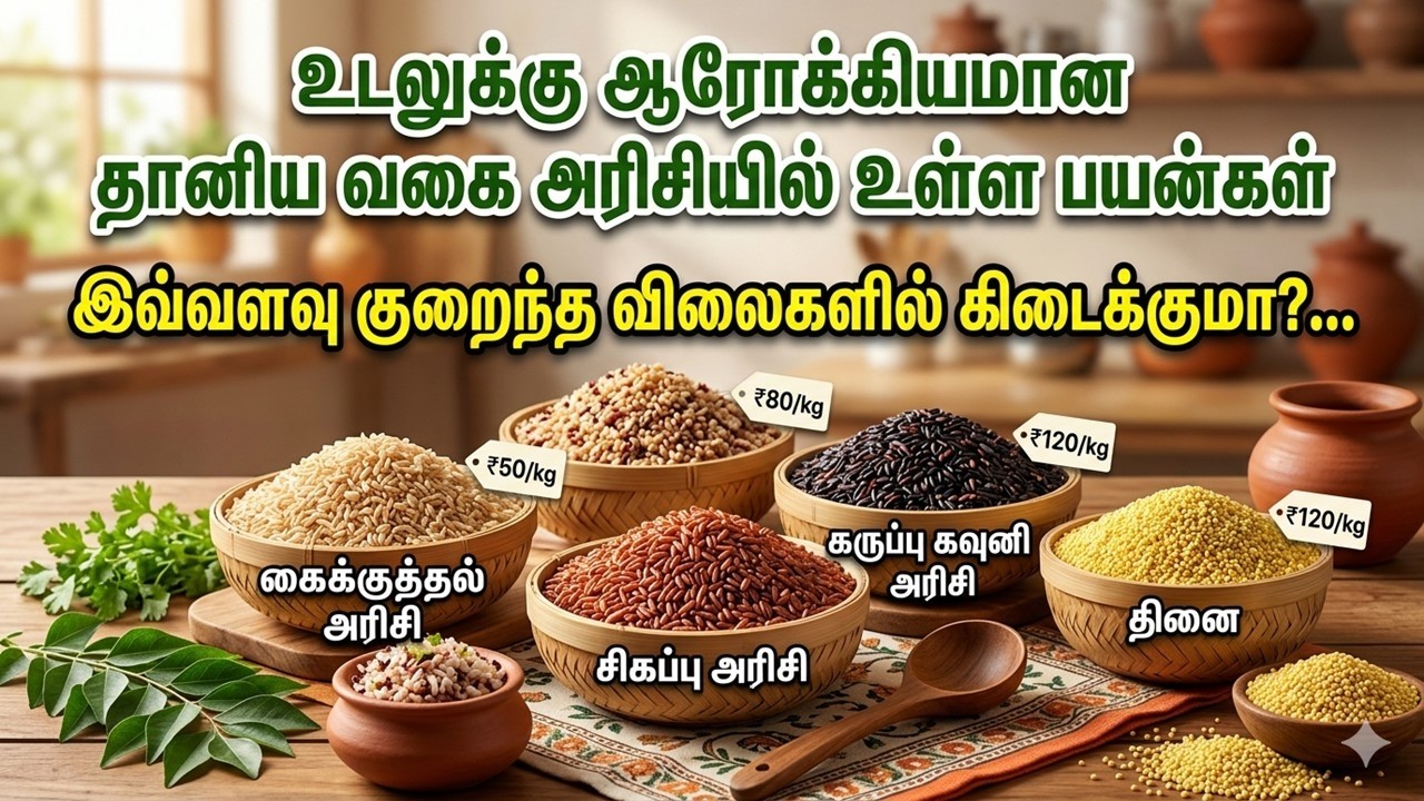 உடலுக்கு ஆரோக்கியம் தரும் தானிய வகை அரிசியின் பயன்கள் | குறைந்த விலையில் அரிசி கிடைக்கும்