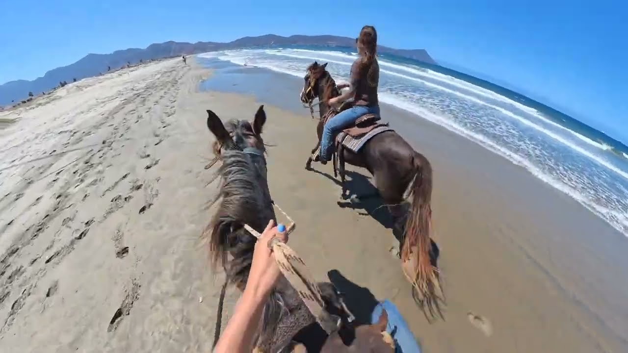 Horseback riding on a Mexican beach: the hunt for horror stories