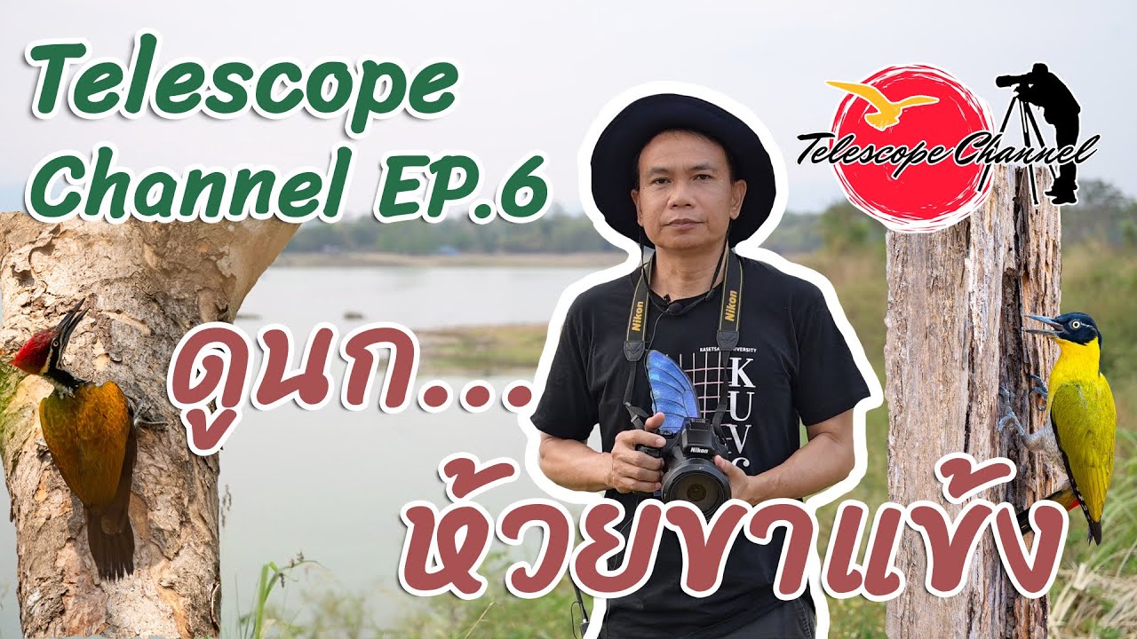 Telescope Channel EP.6 ดูนก...ห้วยขาแข้ง